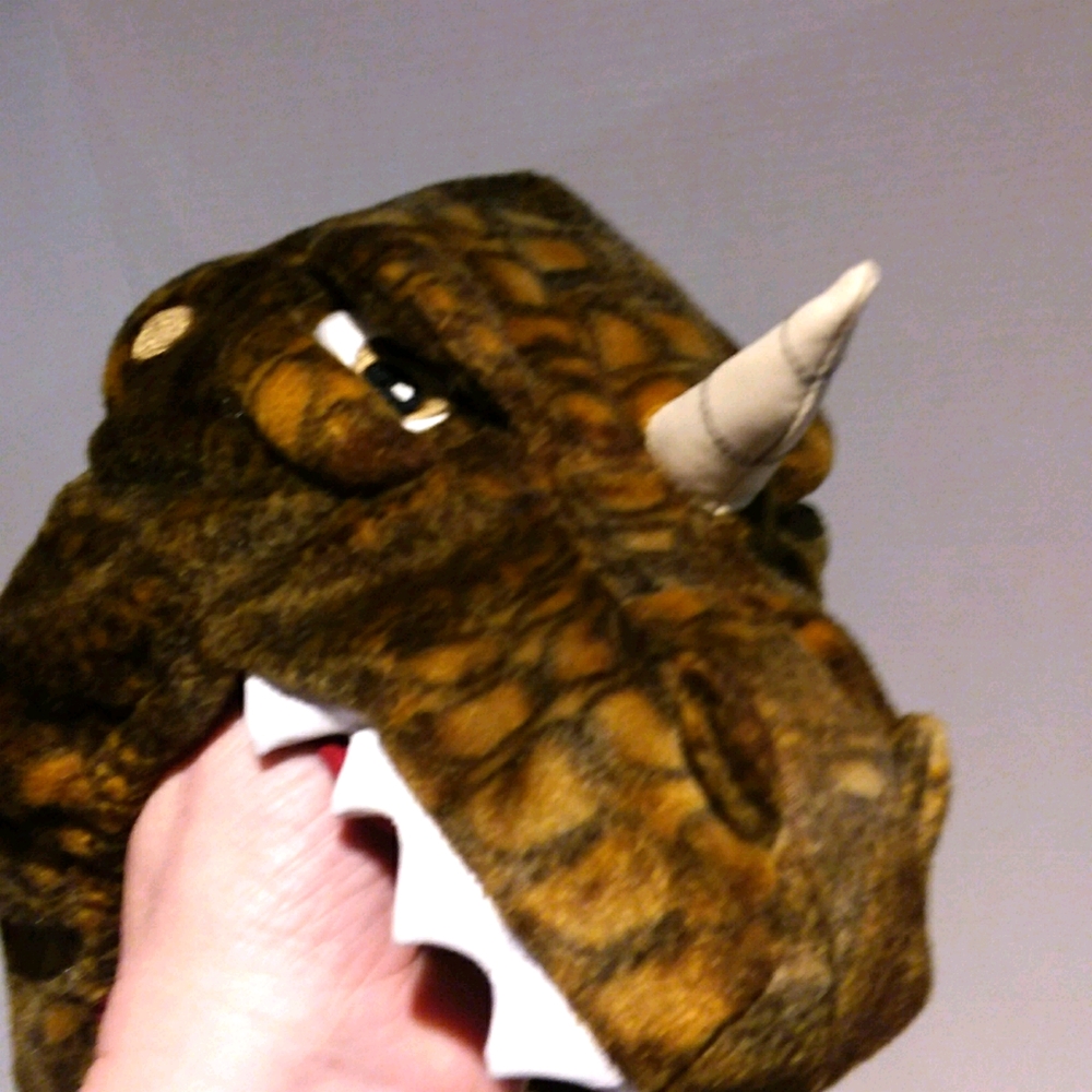 Place dinosaur hat. - Picture 3 of 6